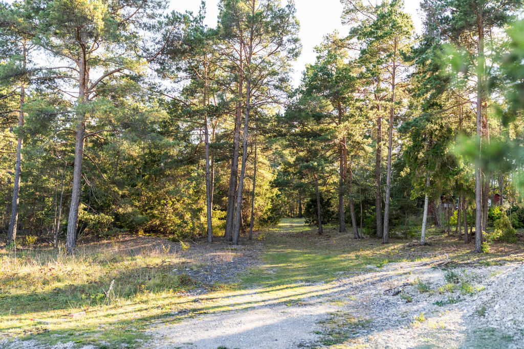 Väg till tomten