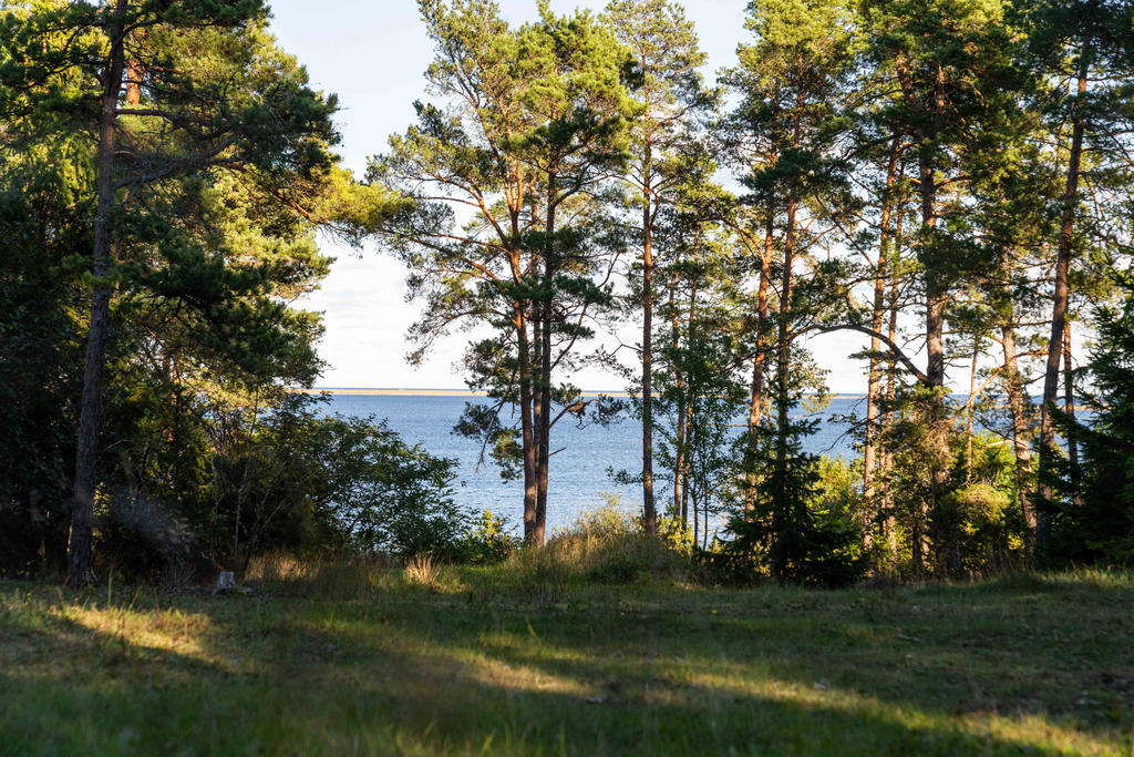 Utsikt från tomt