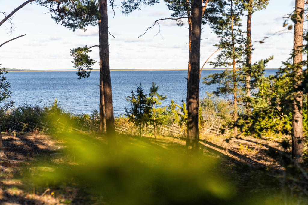 Utsikt från tomt