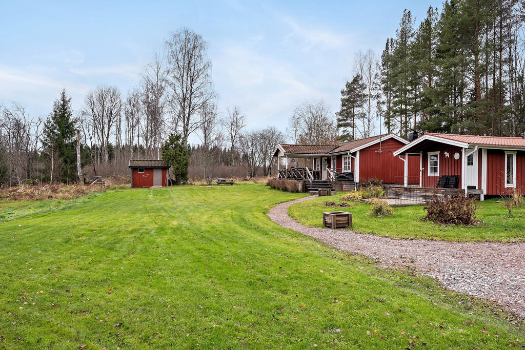 Trädgård