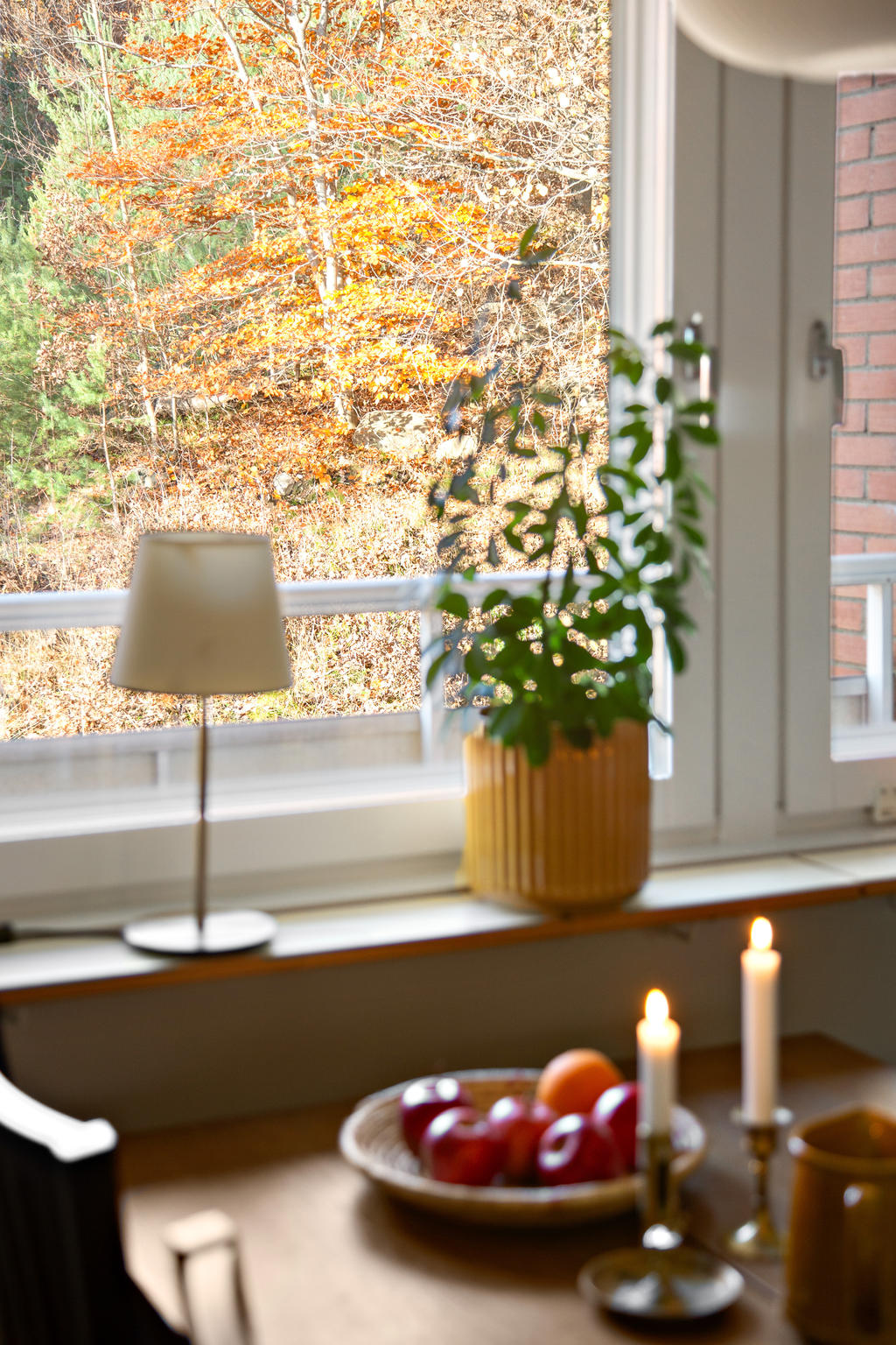 Utsikt från köksfönstret