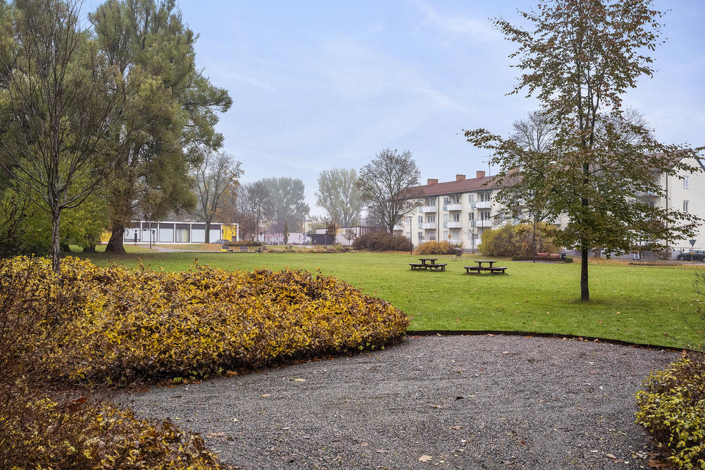 Utsikt över parken utanför. 