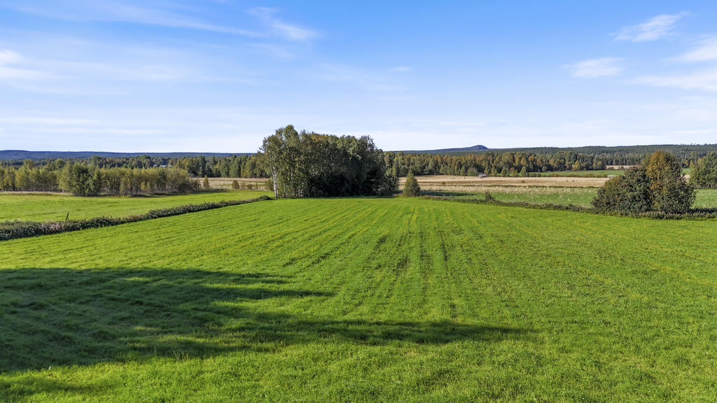 Bild 2 från Svensk Fastighetsförmedling