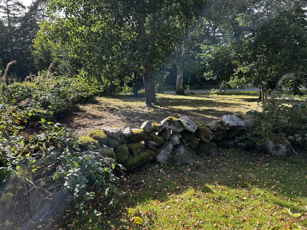 En trivsam tomt.
Säljarens egna bild.