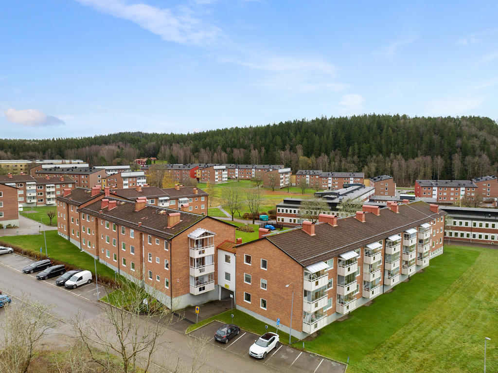 Välskött och omtyckt förening 