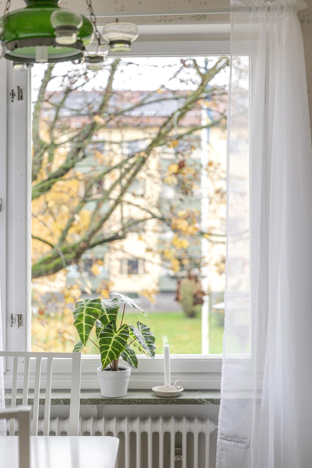 Utsikt från köksfönster. 