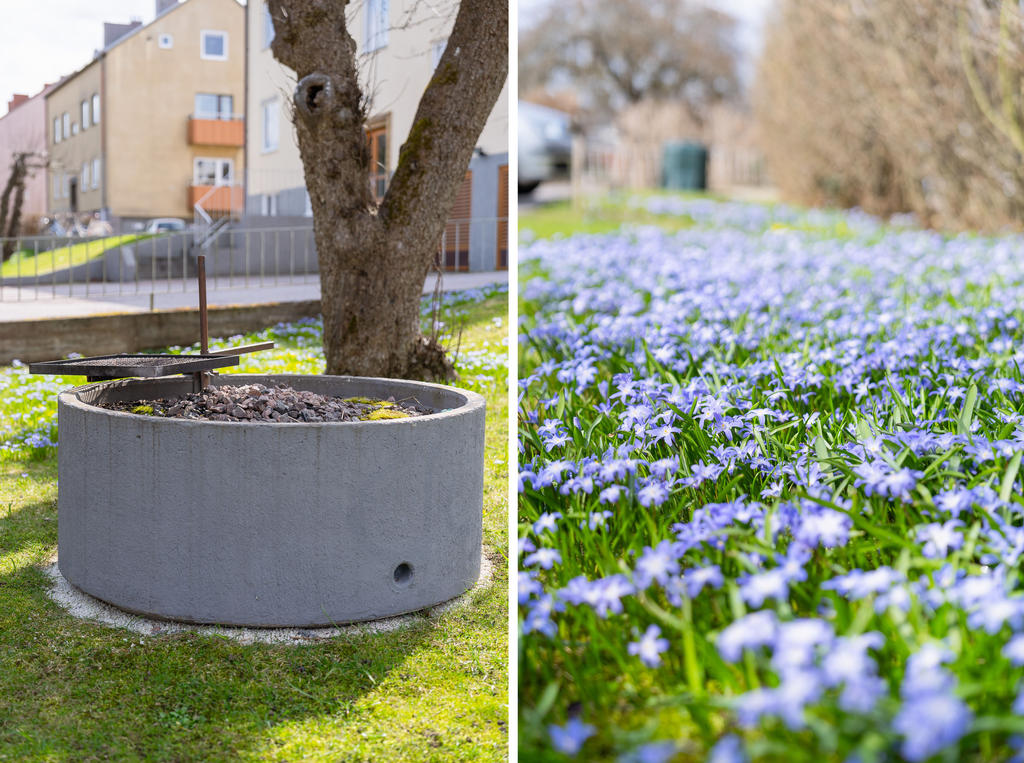 Trevlig grillplats i trädgården