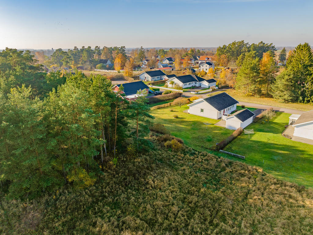 Läget mot skogsdungen