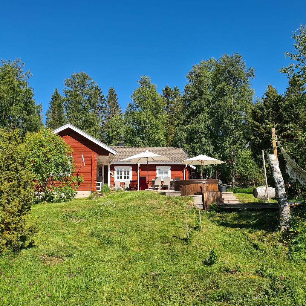 Säljarens egna bild