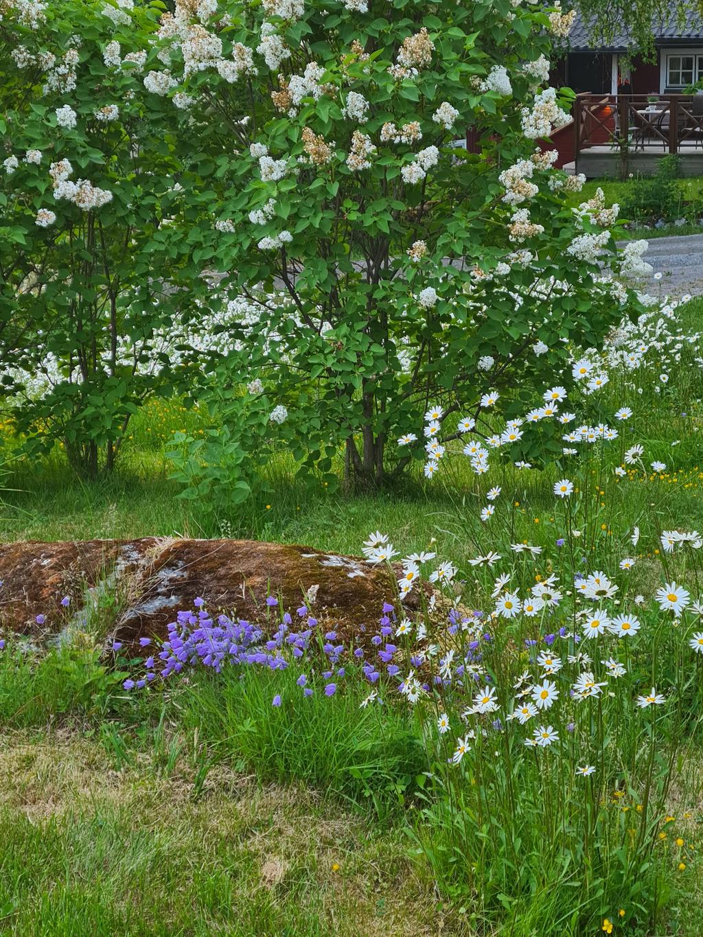 Säljarens egna bild