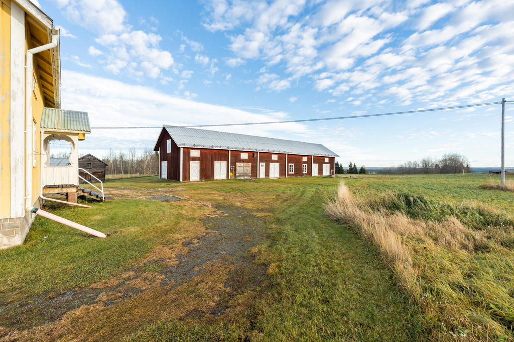 Stor och härlig gårdsbild