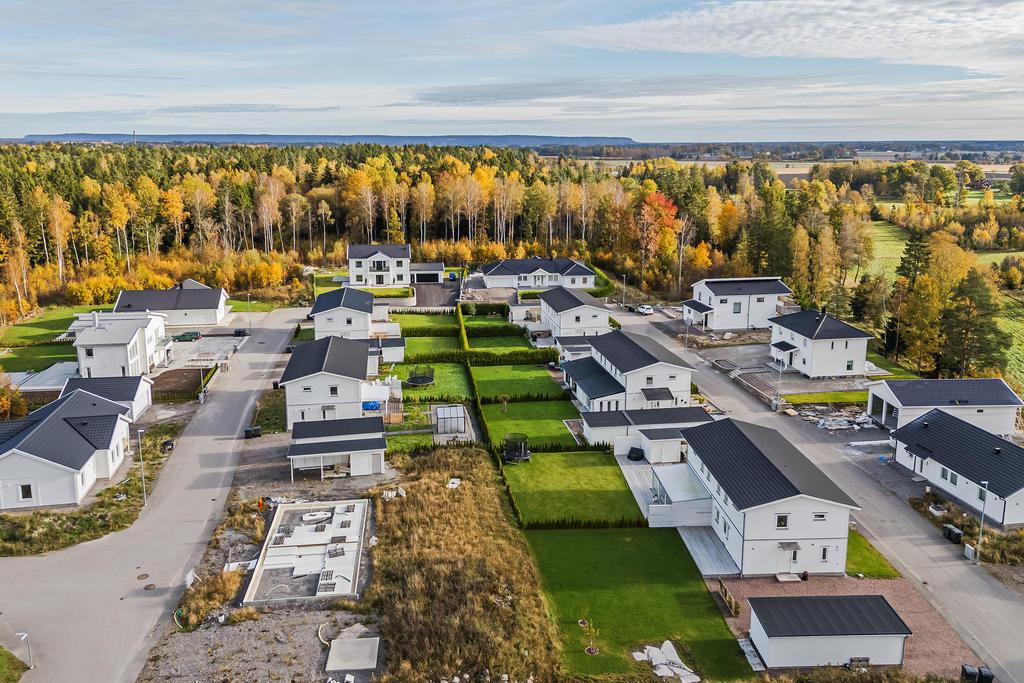 Kvarteret Neontetran