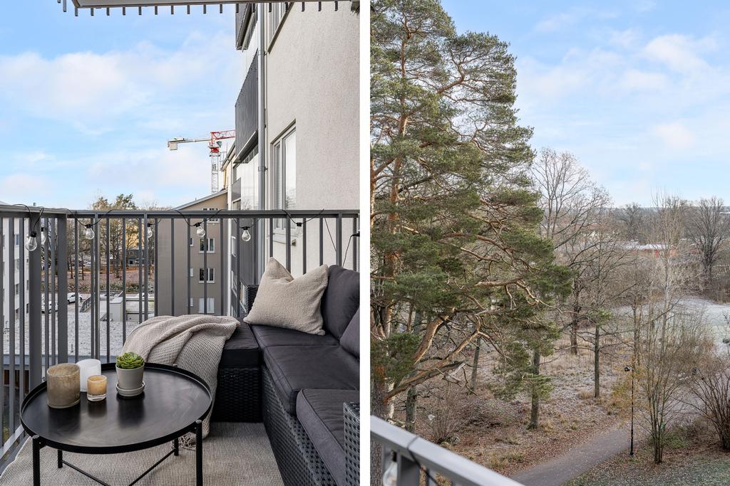 Och utsikt mot skogsdunge