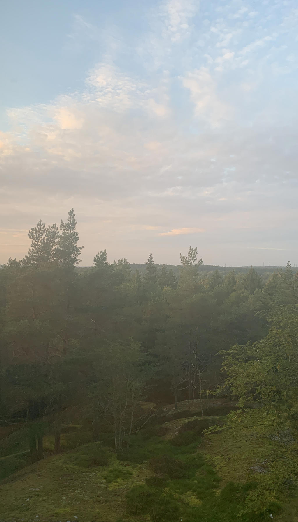 säljarens bild, utsikt från sovrummet