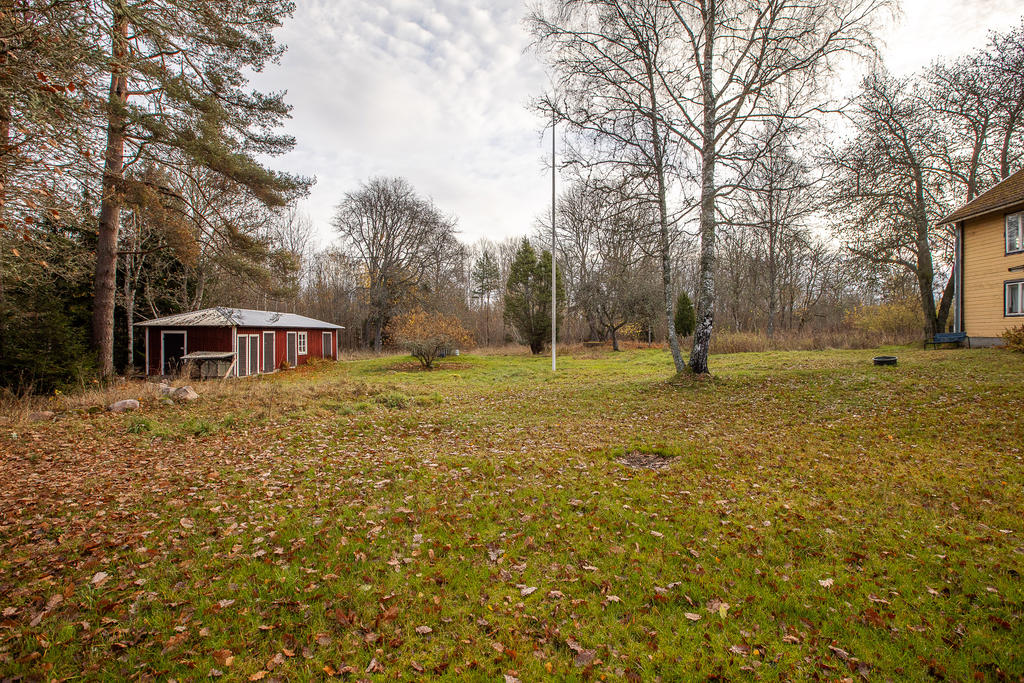 Granne med skog och natur