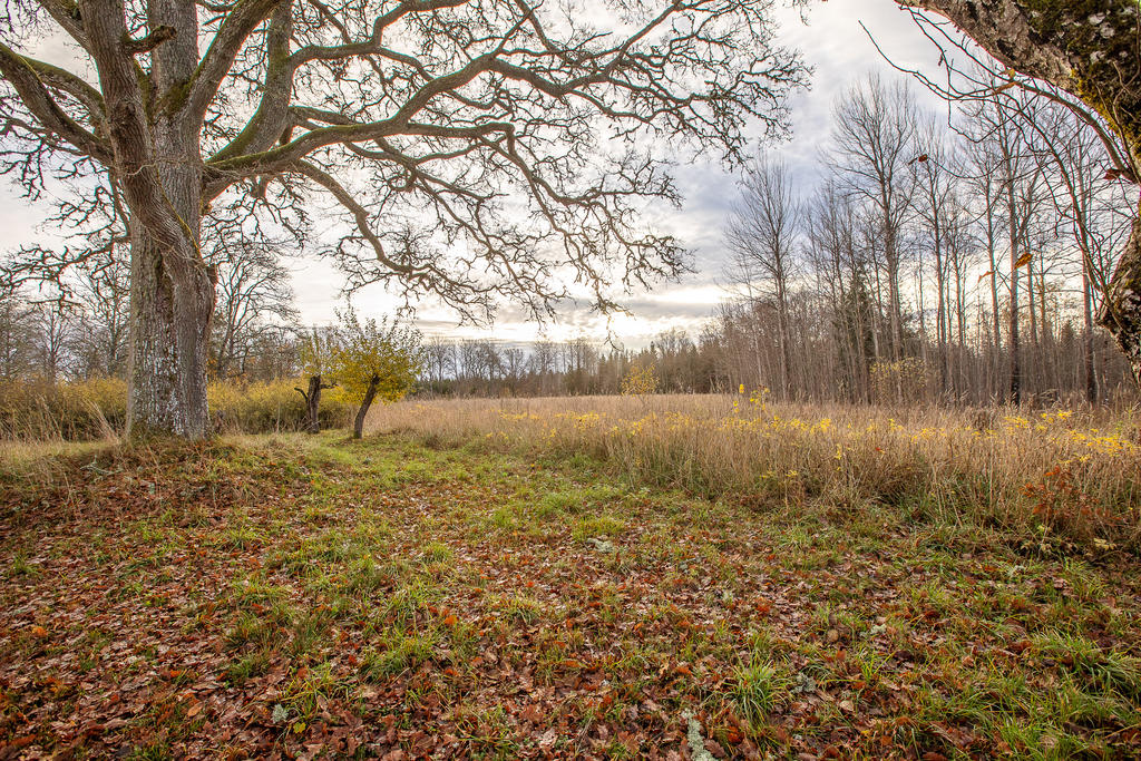 Fina ängar omfamnar