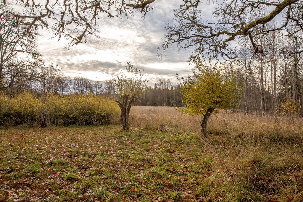 En plats för lugn och ro