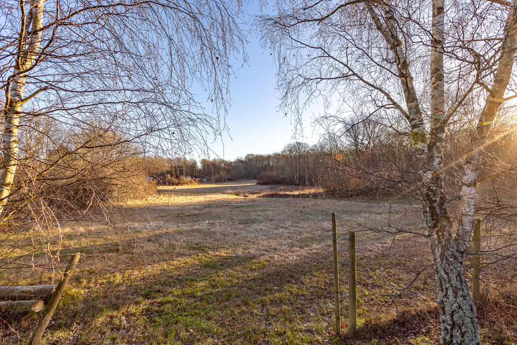 Vy över betesmarken 