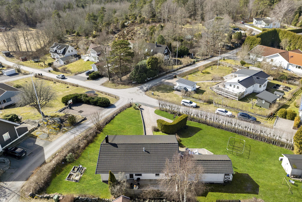 Stor plan trädgårdstomt 