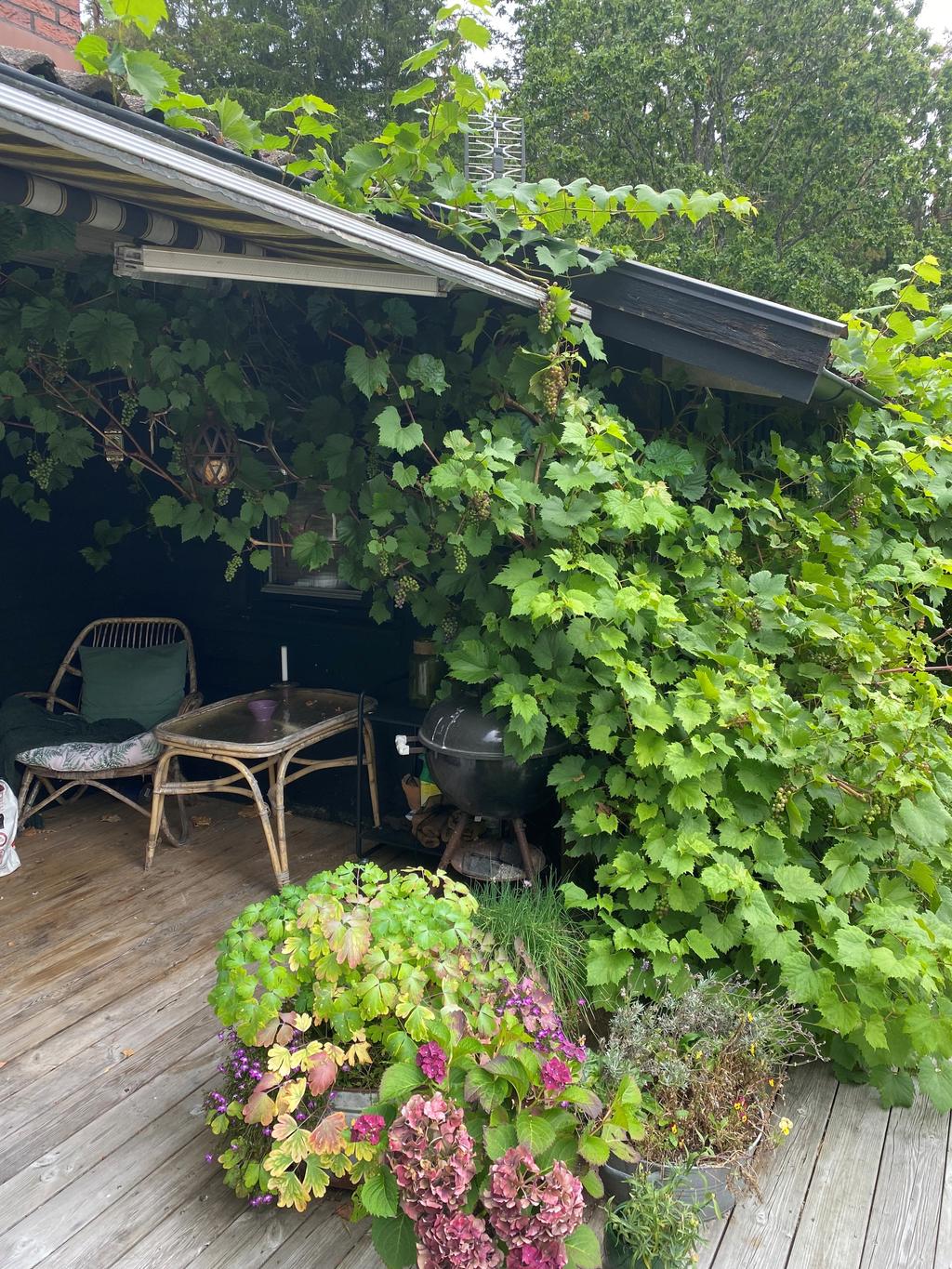 Säljarens egna bilder