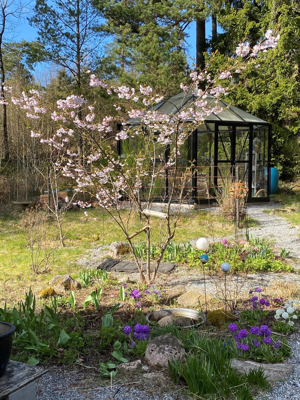 Säljarens egna bilder