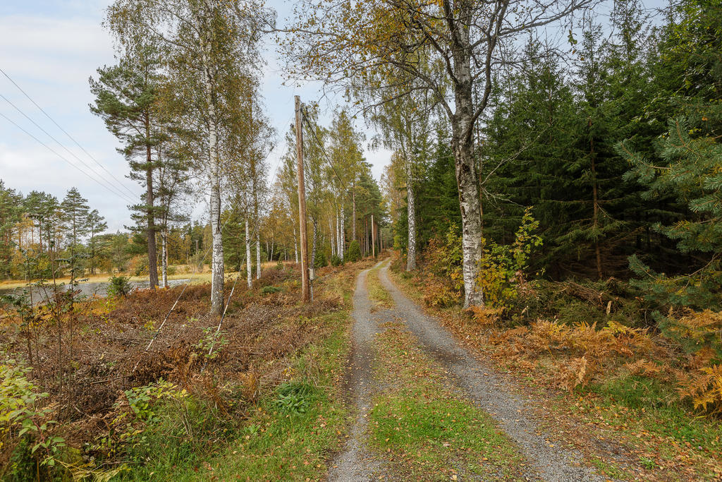 Infarts vägen till fastigheten 