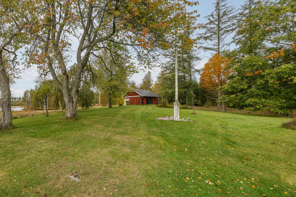 Fin trädgårdsmiljö