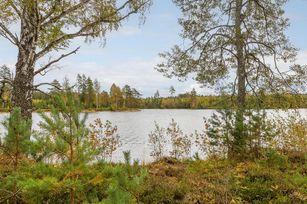 Fin utsikt över sjön