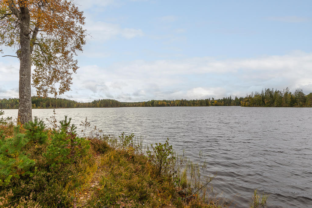 Utsikt från gästhuset 