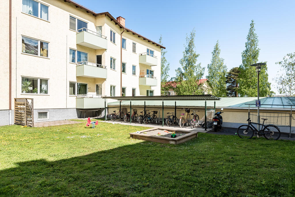 Sommarbild på innergården 