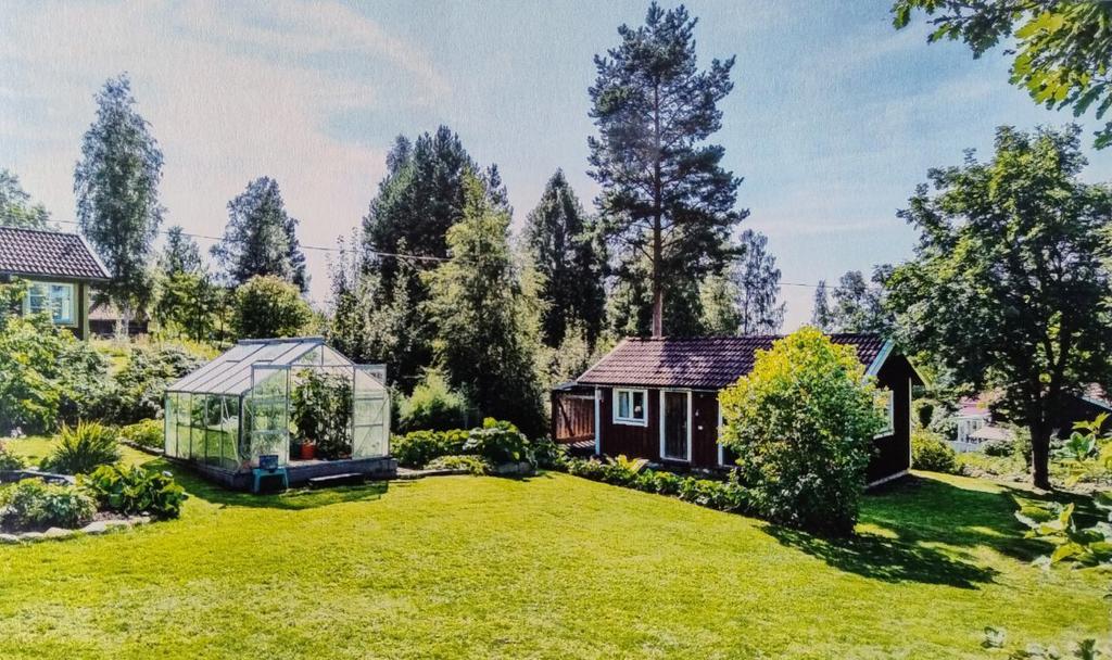 Säljarens egna sommarbild.