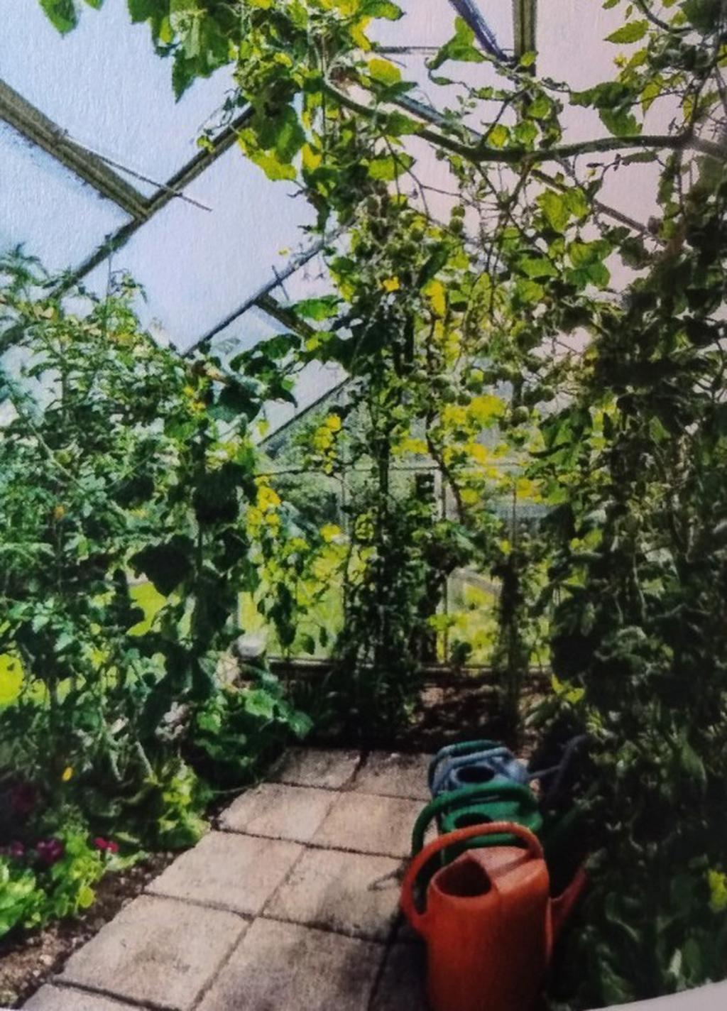 Säljarens egna sommarbild.