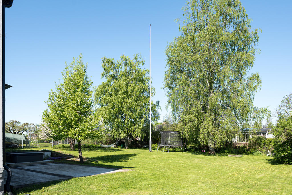 Trädgård.