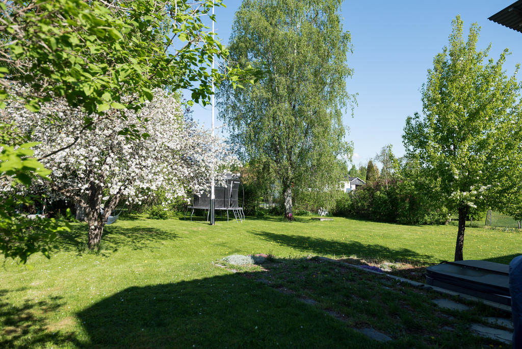 Trädgård.