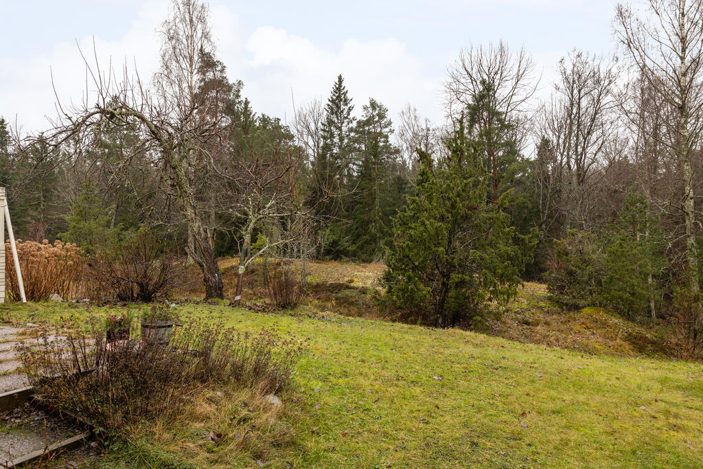 Baksida mot allmänning