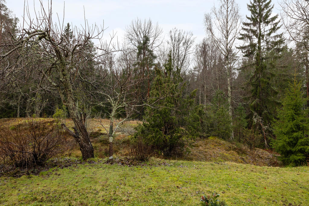 Baksida mot allmänning