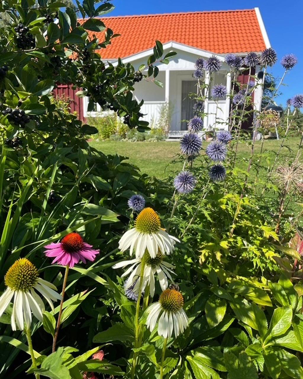 Kunds egen sommarbild