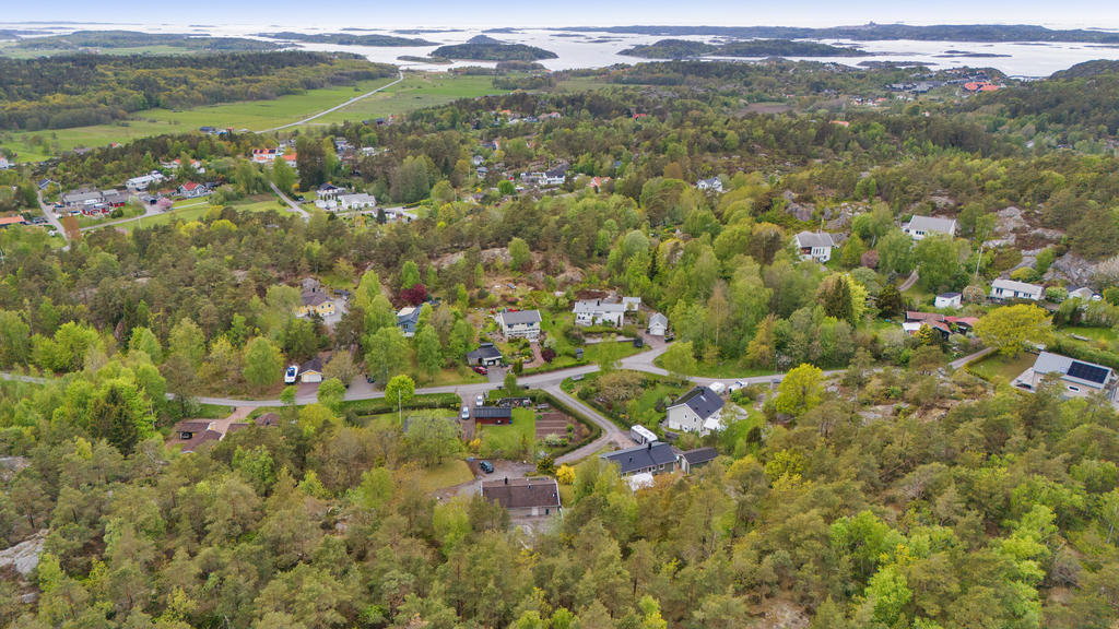 Vy över området