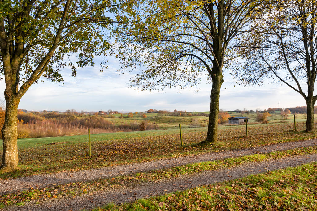 Höstbilder