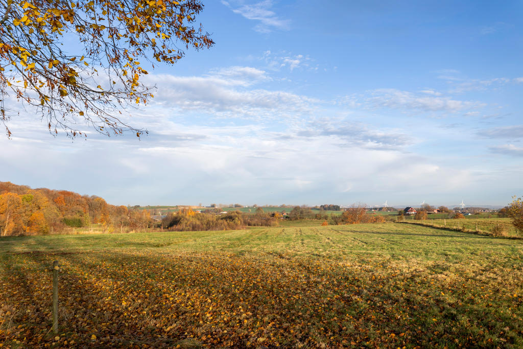 Höstbilder