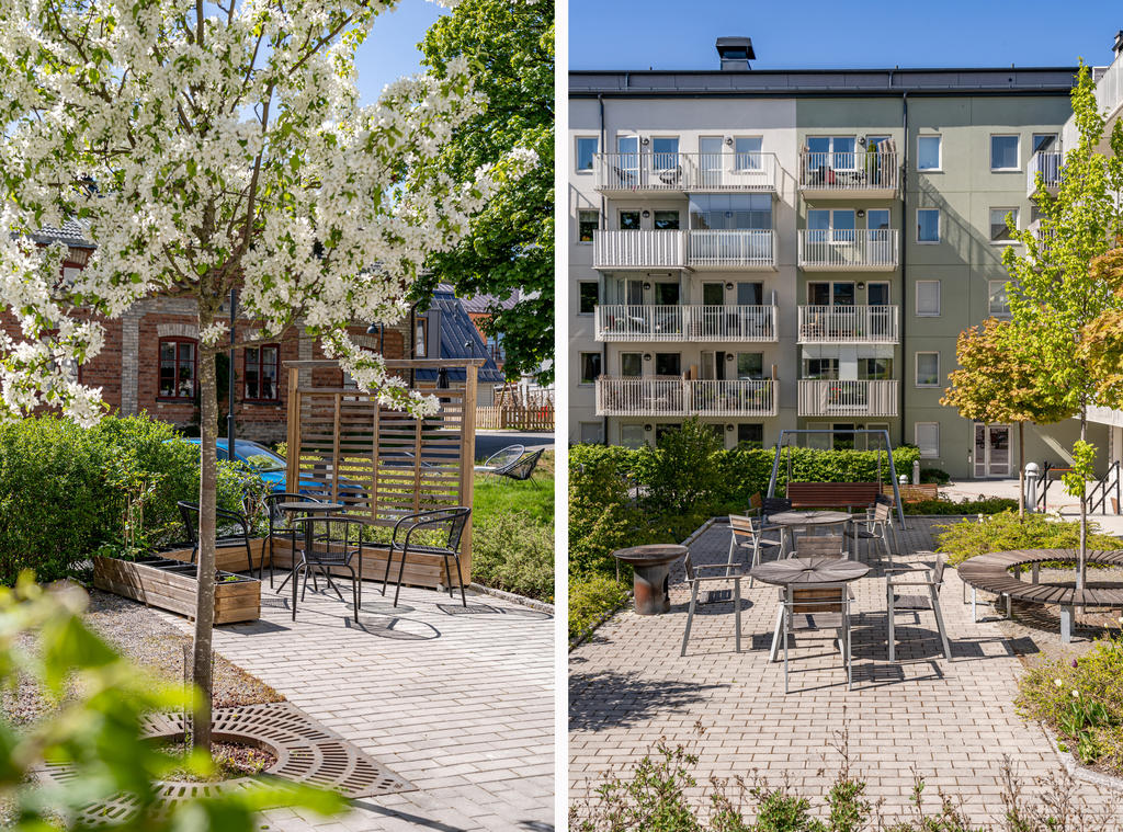 Föreningens innergård