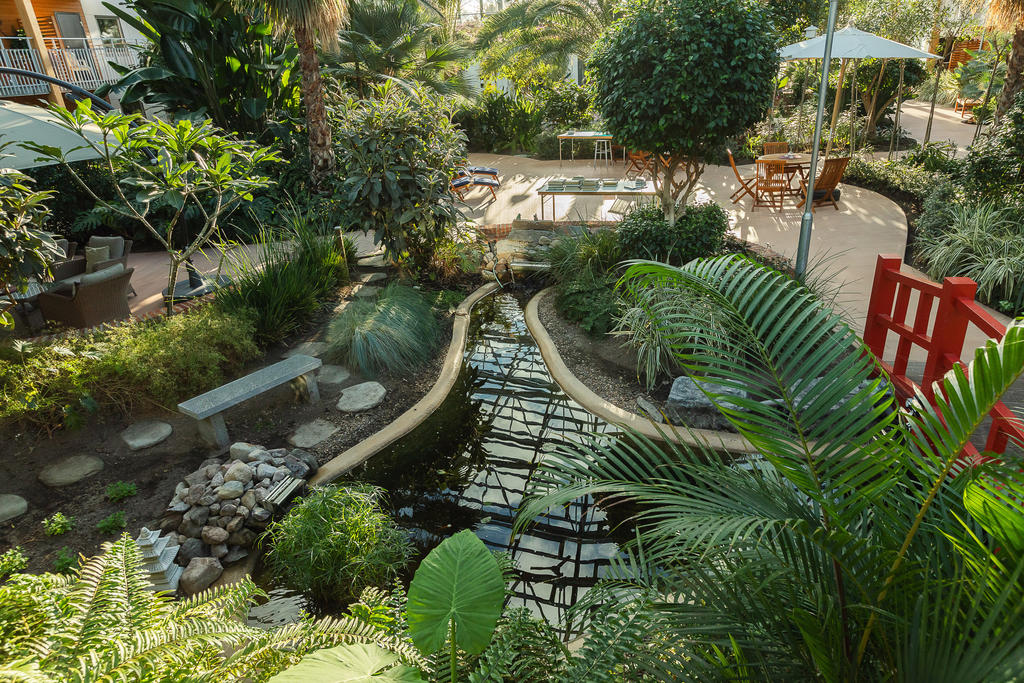 Den asiatiska delen av trädgården