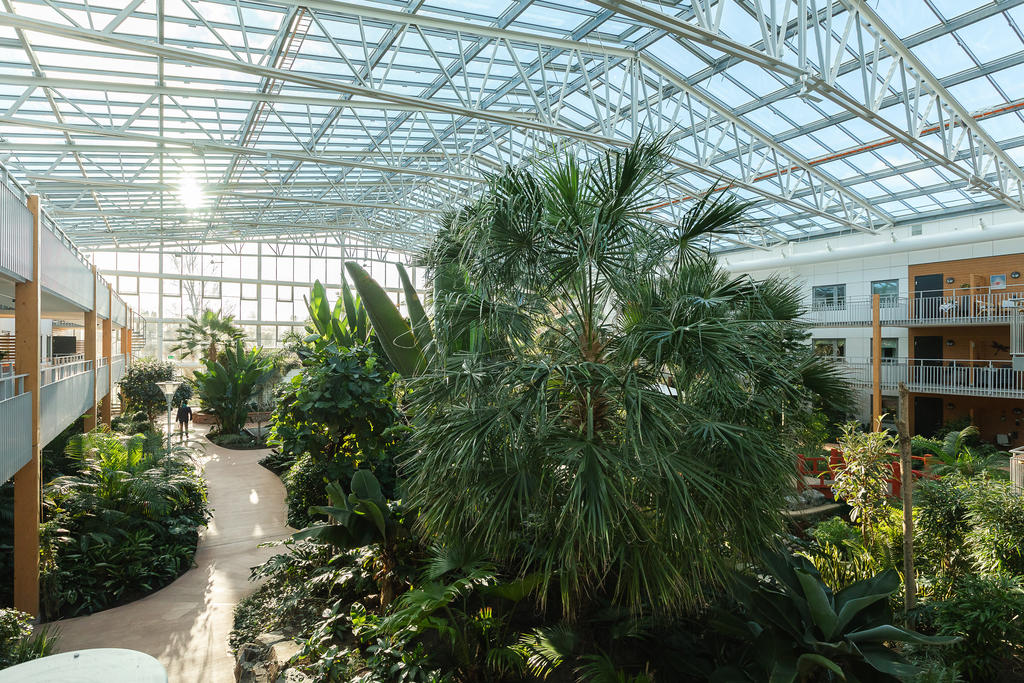 Utsikt från loftgången