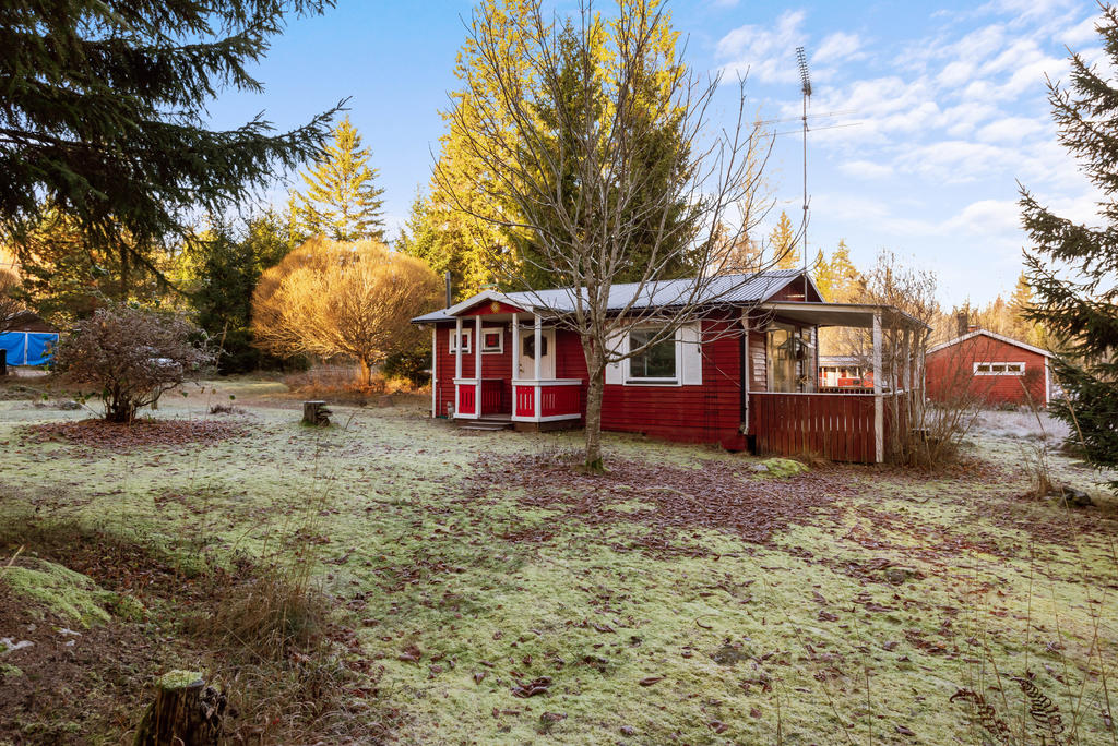 Blandad trädgårds-  och    skogstomt.