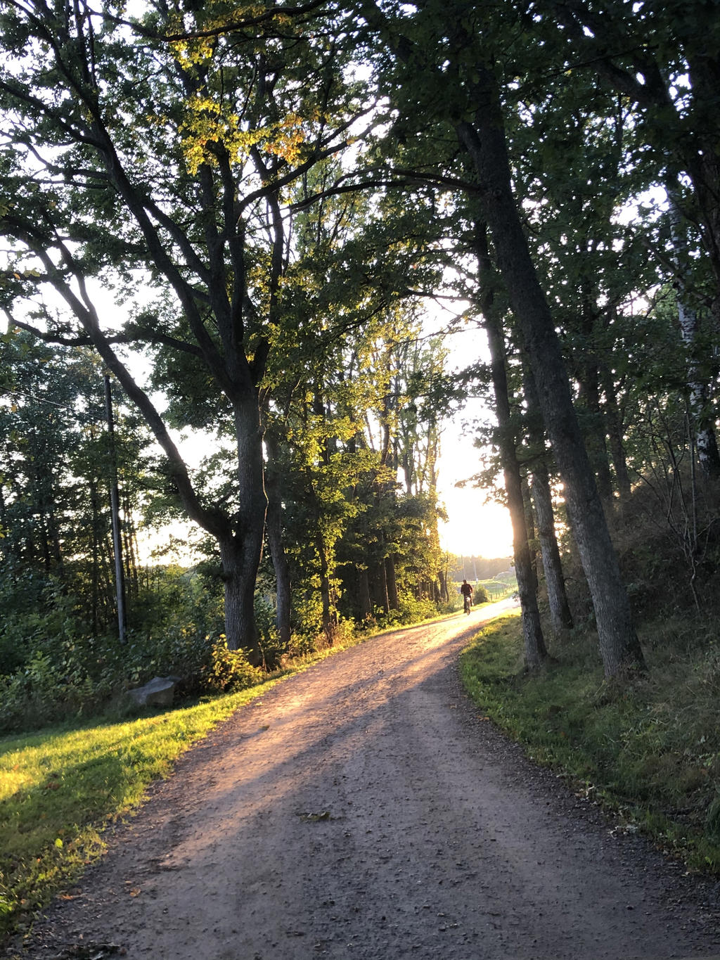 Säljarens egna inspirerande sommarbilder.