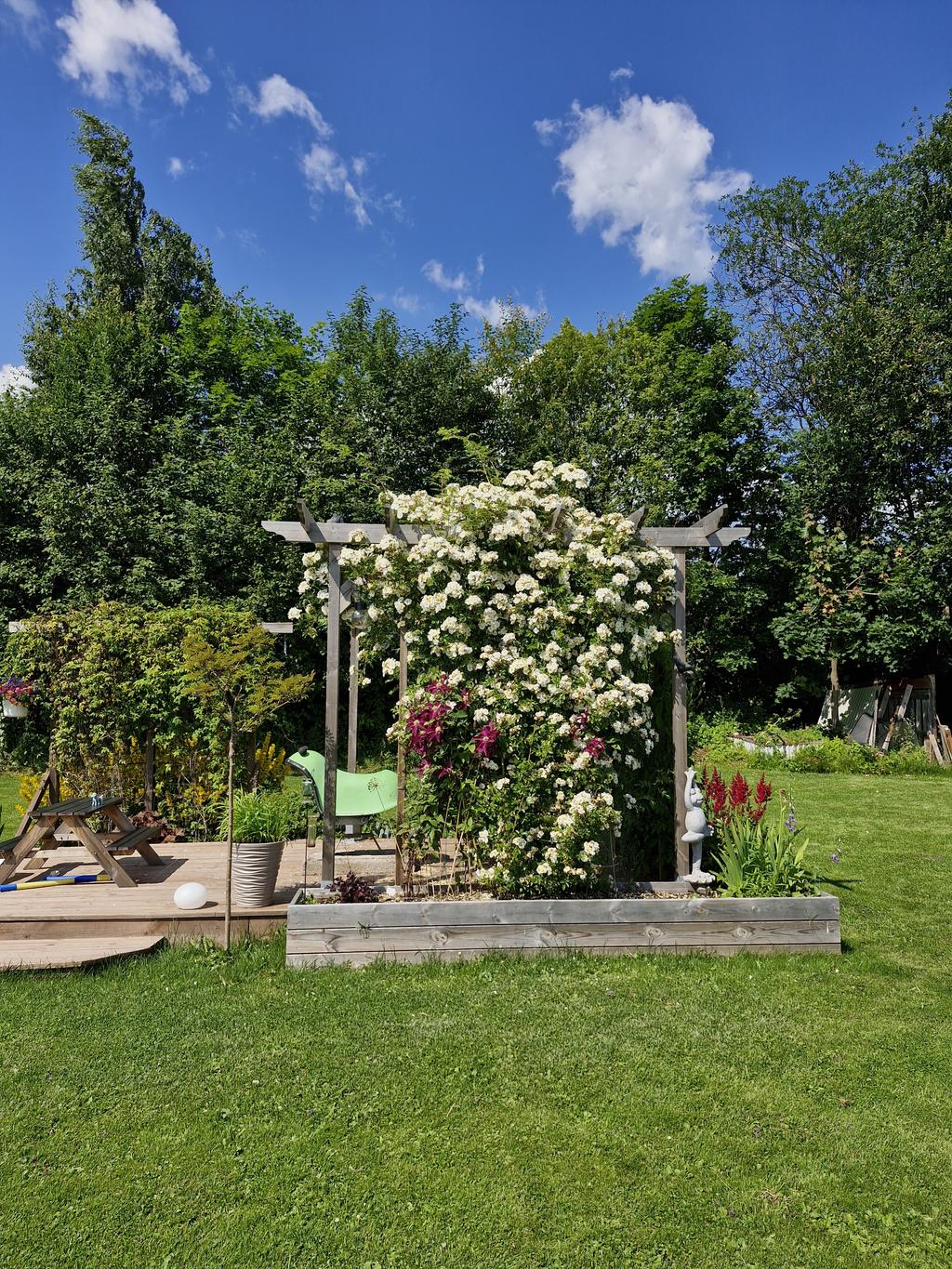 Säljarnas egna sommarbild