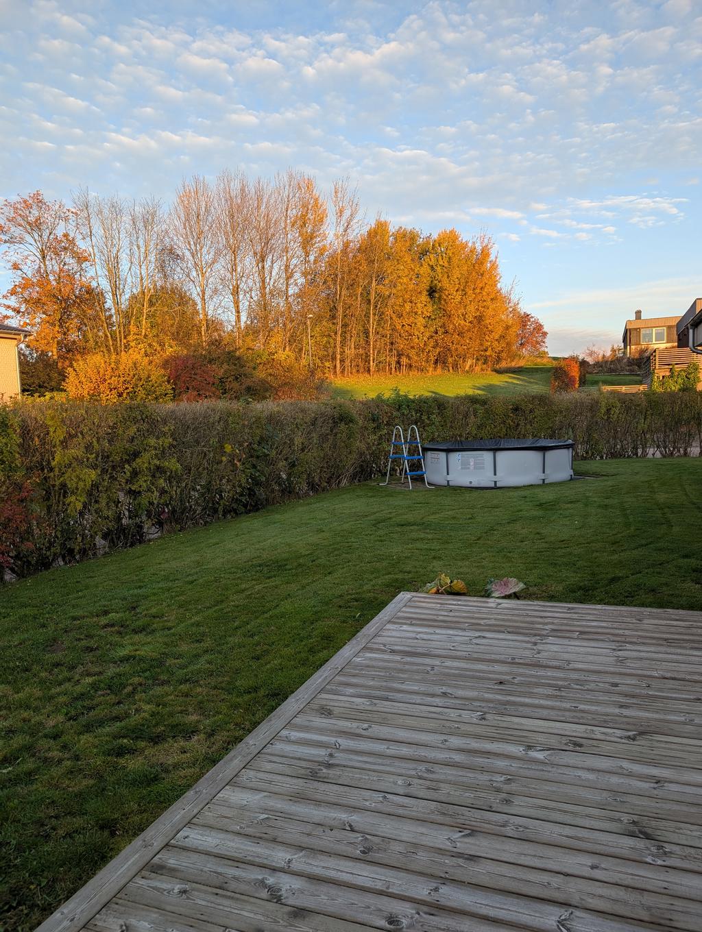 Ägarens egna bilder