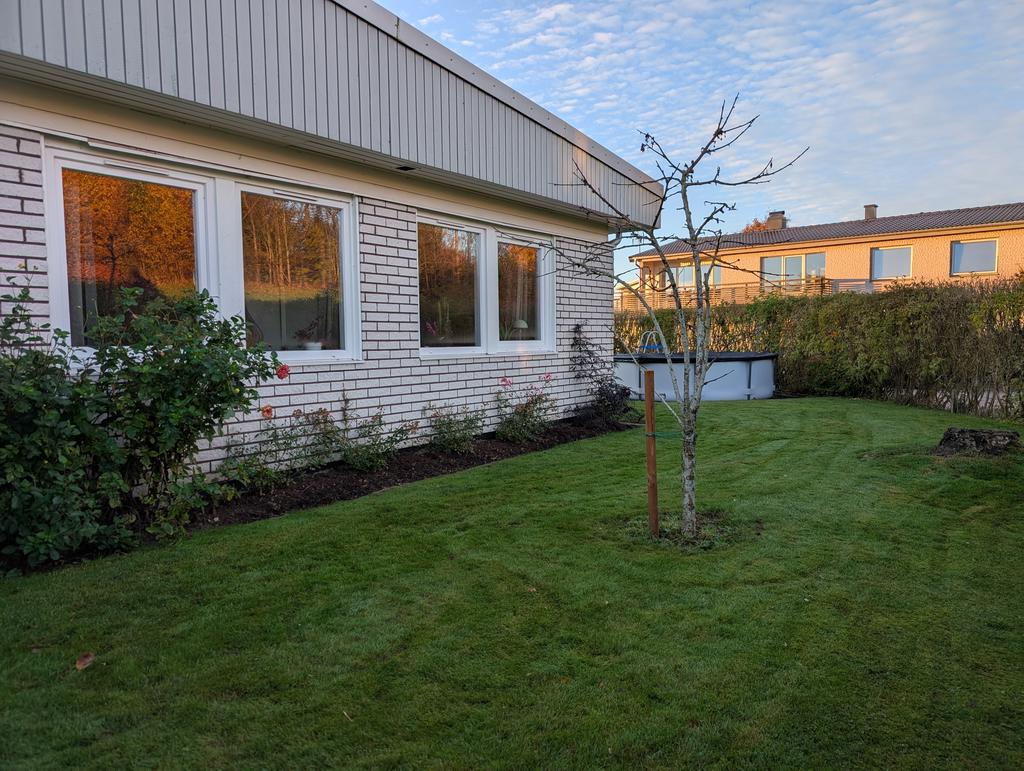 Ägarens egna bilder