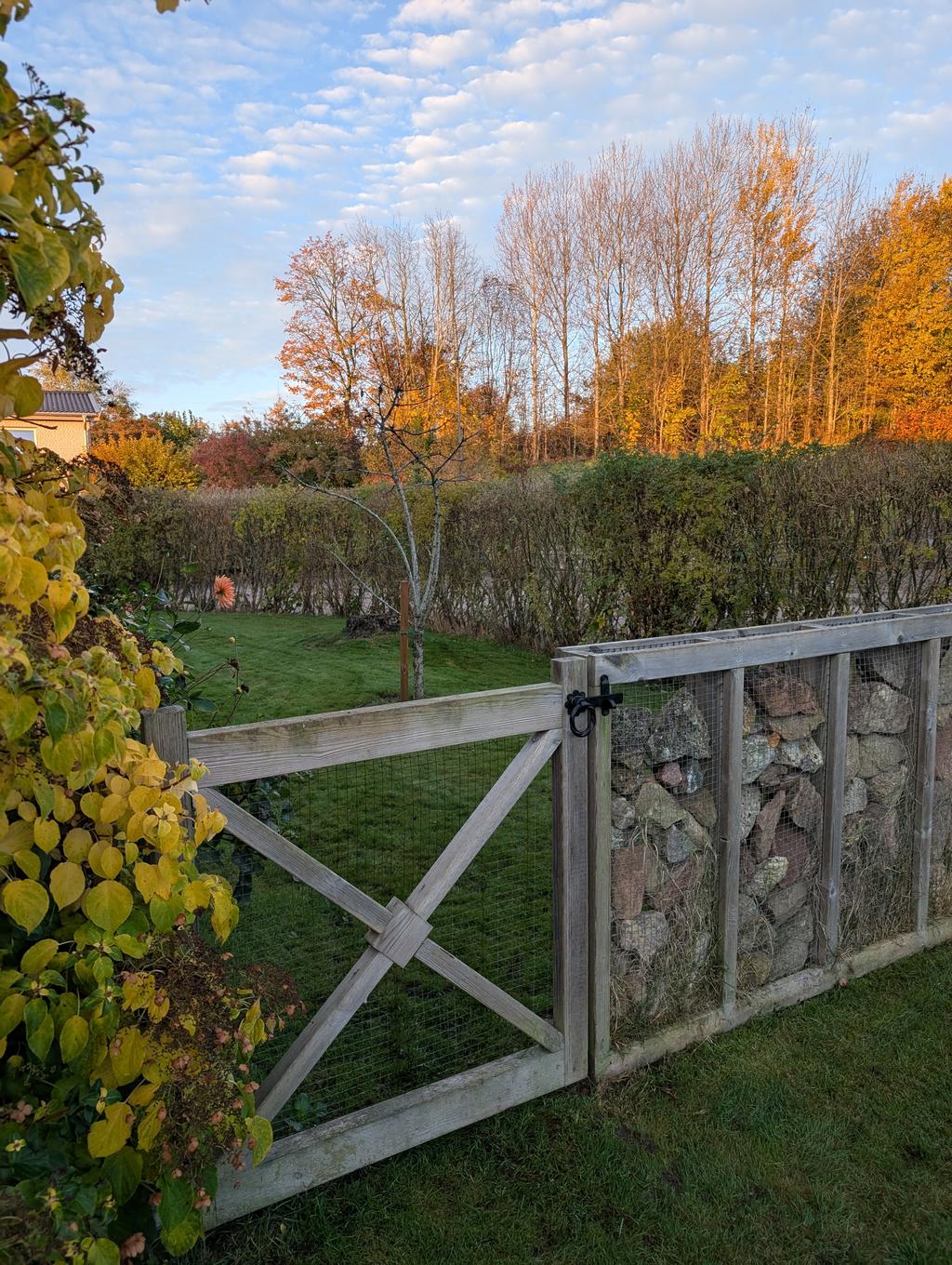 Ägarens egna bilder