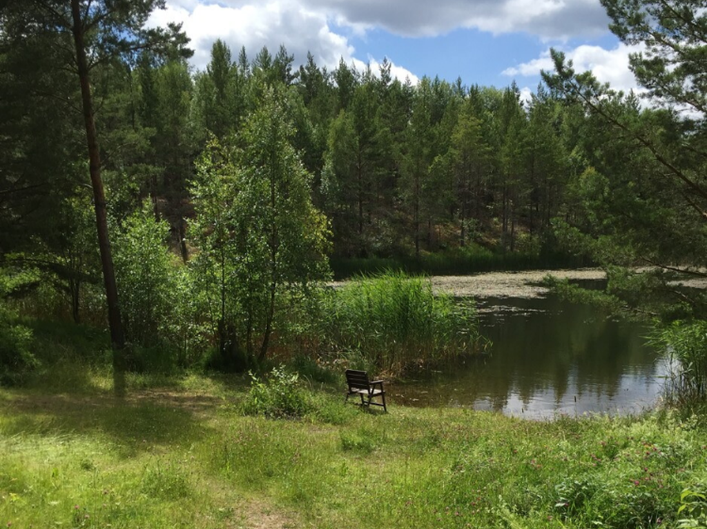 Trevlig badplats på cykelavstånd - kunds egen bild 